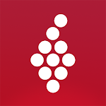 Vivino:le Vin &agrave; port&eacute;e de main