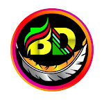 BD NET VPN