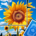 Jigblock Puzzles