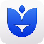 Cloris Blue VPN