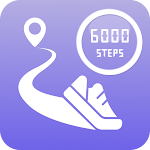 Pedometer Step Counter Daily