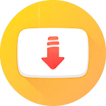 Snap-tub&egrave;  Video Downloader