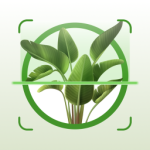 Plant App - Plant Identifier