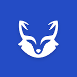 Dark Fox Privacy VPN