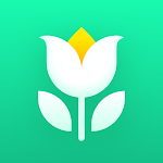 Plant Parent - Guida alla Cura
