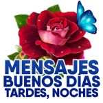 Buenos d&iacute;as y noches, amor
