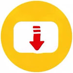 Video Downloader - Downloader