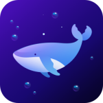 Dolphin VPN-Fast & Stable