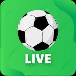 Partite della Champions League