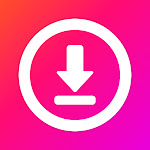 Descargar videos - Story Saver