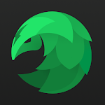 SafeShell VPN - R&aacute;pido