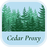 Cedar Proxy - Stable VPN