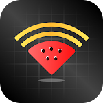 Melon Proxy Pro