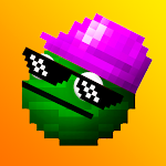 Skin&Mods for melon PG
