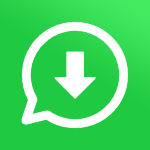Estado Descarga - Status Saver