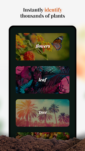 Plant-X, Plant Identification for Android - Free APK Download & App ...